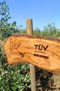 tuv-austria-italia-3
