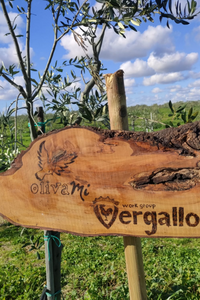 vergallo3
